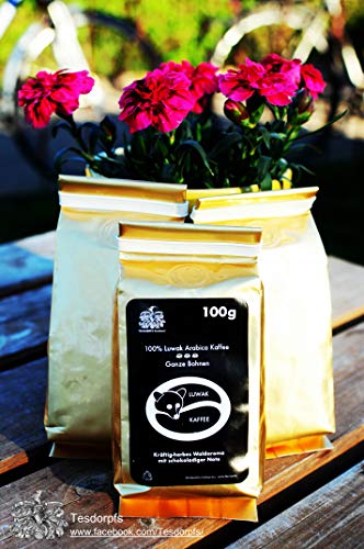 Kopi Luwak Kaffee 100% | City Roast Civet Coffee 100g | gemahlen| Kaffeespezialität als Geschenk für Kaffeeliebhaber von Tesdorpfs für den Geschenkkorb, die Kaffeemühle oder zu Ferrero Rocher - 3