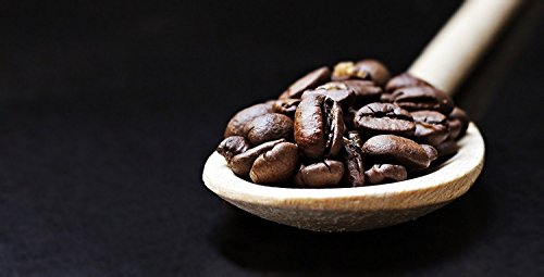C&T Jamaica Blue Mountain AA Wallenford Estate Kaffee | 500g Ganze Bohnen Sortenrein | Single Origin Rarität aus Jamaika - 3